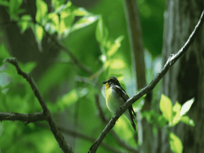 血沉使用什么试管,泰国试管前期检查