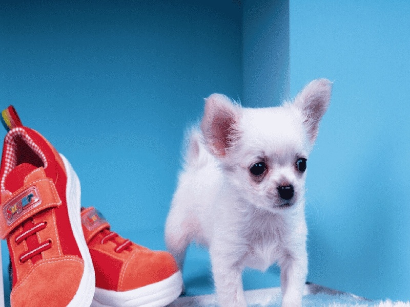 试管卵子质量测试,南京试管婴儿群